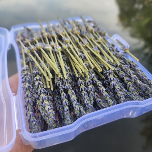 Lavender Decorative Accent Picks - 4" Long Stems 100, 150, 200 Bulk Box
