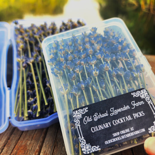 Lavender Culinary Cocktail Picks 50 Count 2 Sizes to Choose From Purple or White Specialty Drinks Garnish Topping
