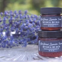 Botanical Bee Balm - Herb Infused Skin Salve 1oz / 2oz