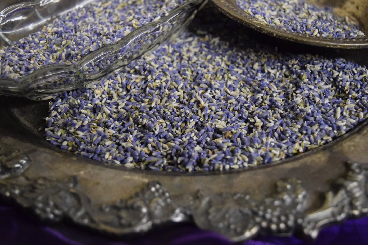 Culinary Lavender Blend for Edible Uses - Food Grade English Lavender Bud