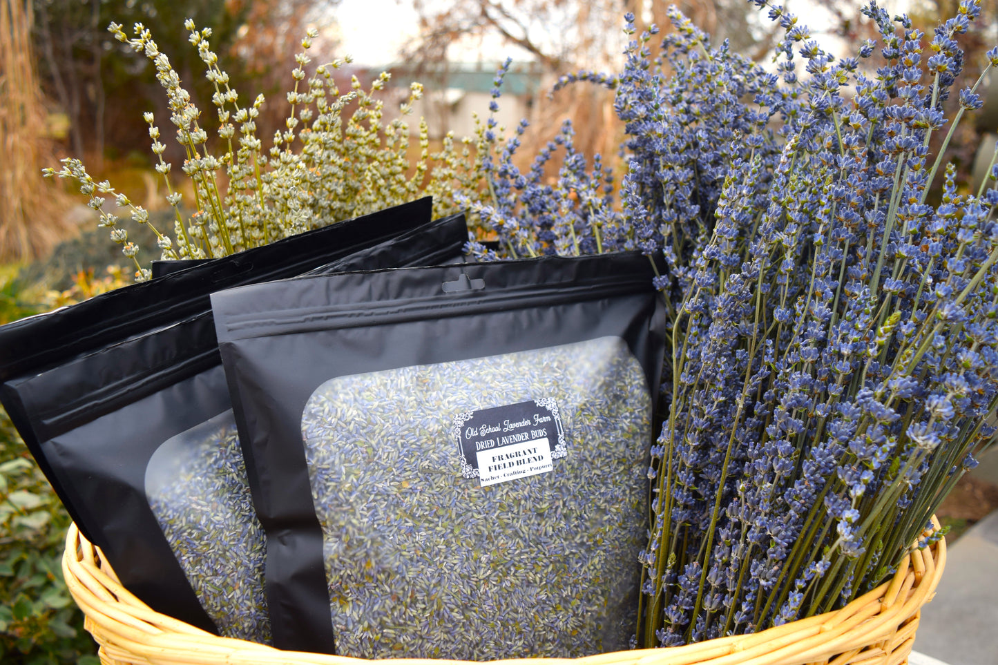 Dried Lavender 1lb Bulk Bag - Fragrant Field Blend - Aromatherapy Purple Flower Buds