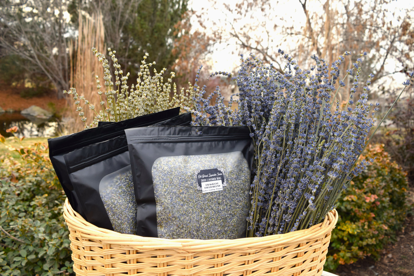 Dried Lavender 1lb Bulk Bag - Fragrant Field Blend - Aromatherapy Purple Flower Buds