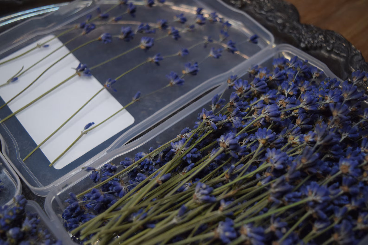 Lavender Culinary Cocktail Picks 50 Count 2 Sizes to Choose From Purple or White Specialty Drinks Garnish Topping