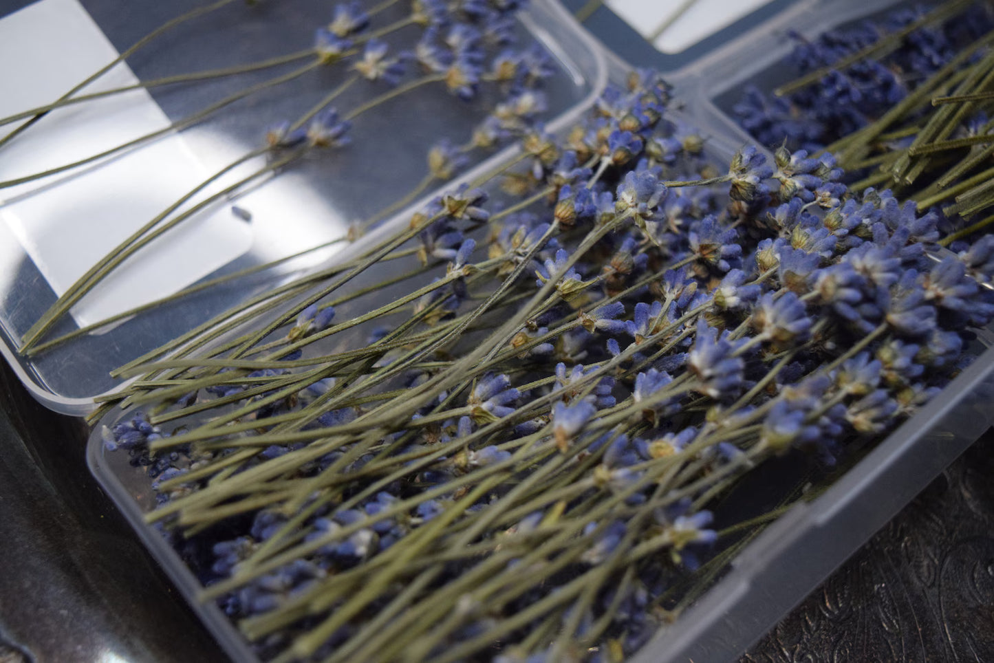 Lavender Culinary Cocktail Picks 50 Count 2 Sizes to Choose From Purple or White Specialty Drinks Garnish Topping