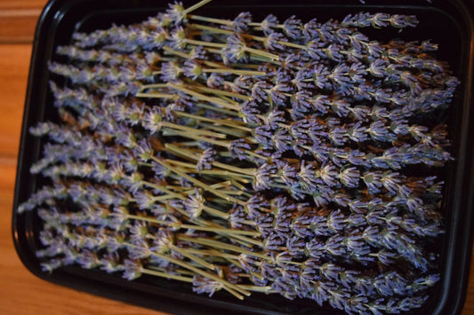 Lavender Decorative Accent Picks - 4" Long 100 Count or 150 Count